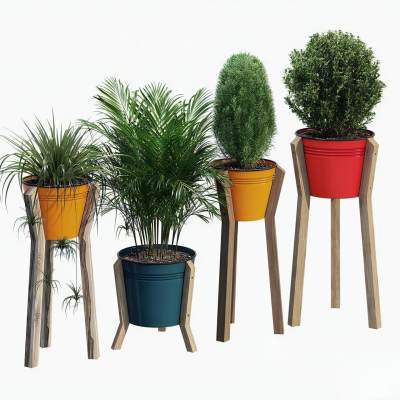 现代植物盆栽-6